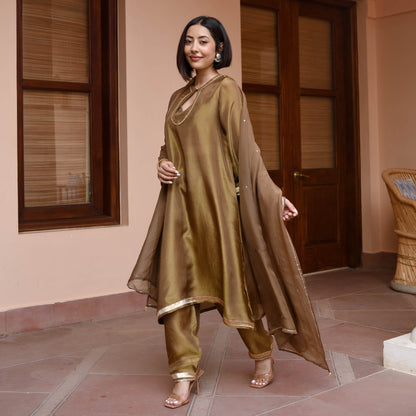 Brown Tissue Silk Suit Set
