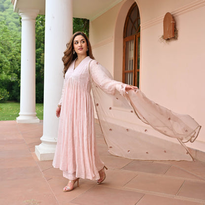 Petals Georgette Embroidered Suit Set