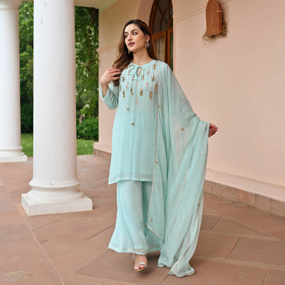 Serene Georgette Suit Set