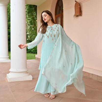 Serene Georgette Suit Set