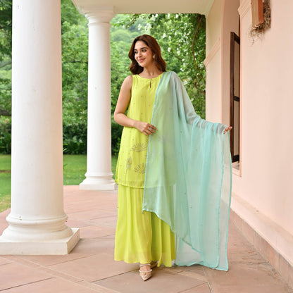 Lime Mint Georgette Suit Set