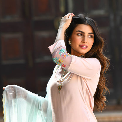 Baby Blue Pink Embroidered Salwar Suit